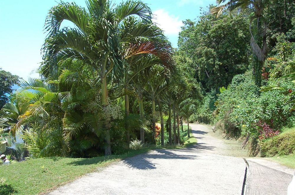Sailfish Beach Villas Anse a La Mouche Eksteriør billede